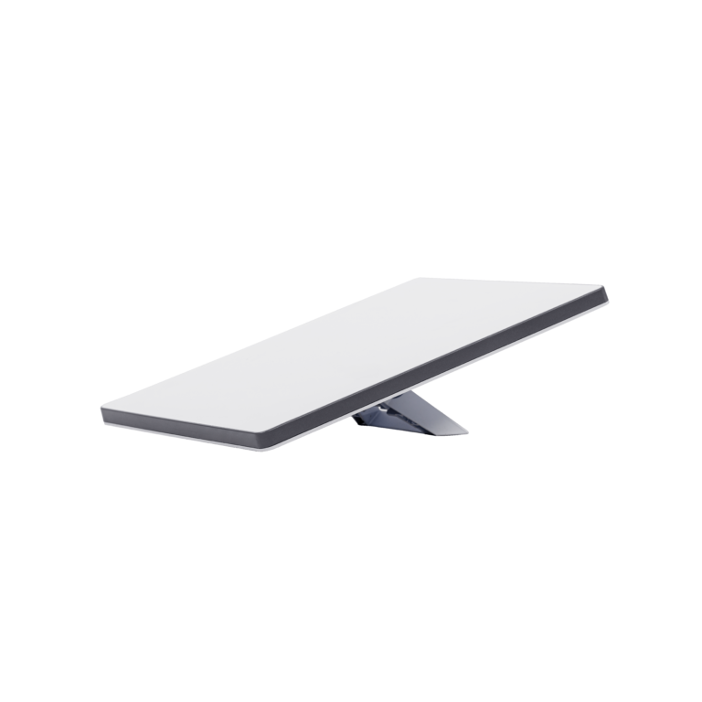 Starlink Mini — Plan de por vida